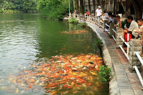 A taste of local life – visiting parks<!--:zh-->体验当地生活－游览公园